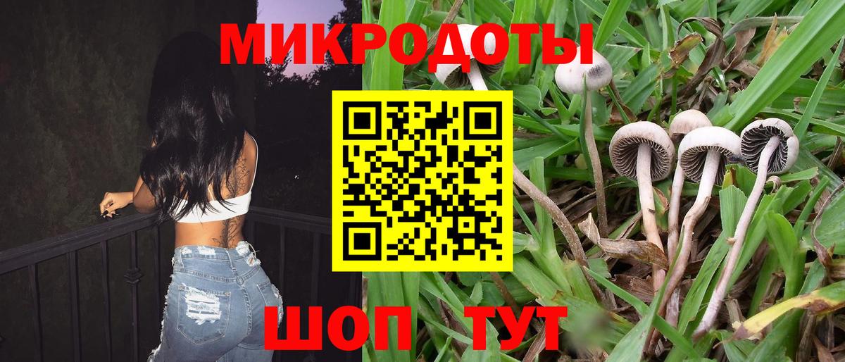 Ногинск  Псилоцибиновые грибы ЛСД  даркнет сайт  Вход с VPN 