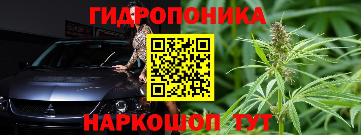 Канабис Ногинск